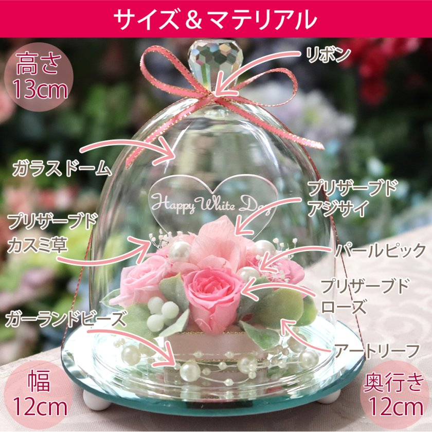 彫刻モデル / ガラスドーム エレガンス】 名前入り 名入れ