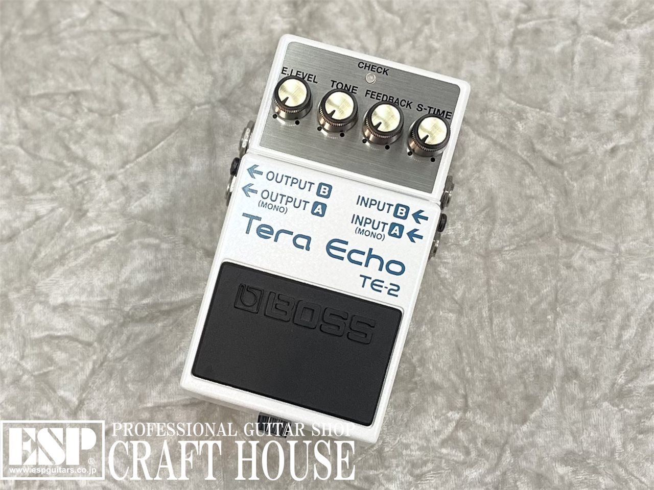 BOSS TE-2 / Tera Echo（新品）【楽器検索デジマート】