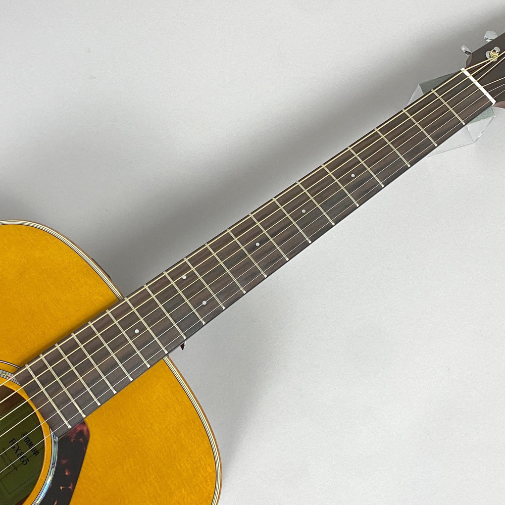 YAMAHA FGX865 T【島村楽器コラボモデル！】（新品/送料無料）【楽器