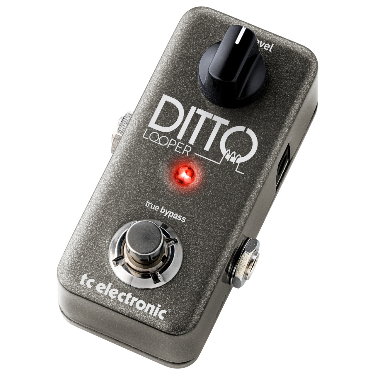 tc electronic Ditto Looper（新品）【楽器検索デジマート】