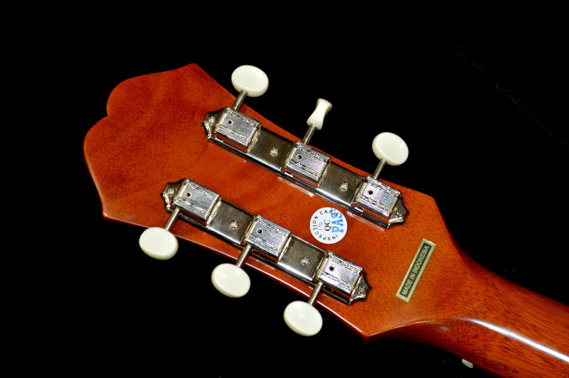 Epiphone Masterbilt TEXAN（新品）【楽器検索デジマート】