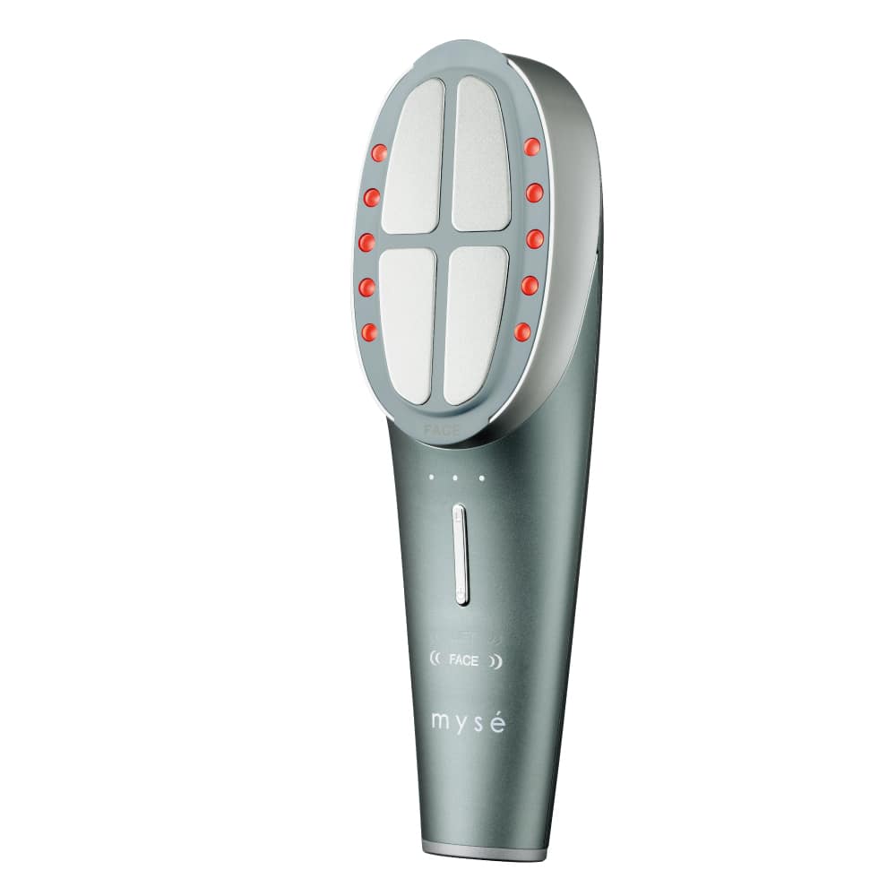 ミーゼ ニードルリフトブラシ 通販 - ディノス