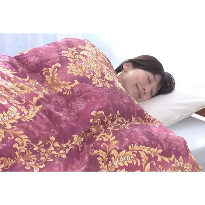 ハンガリー産ホワイトダック 5つ星羽毛布団 通販 - ディノス