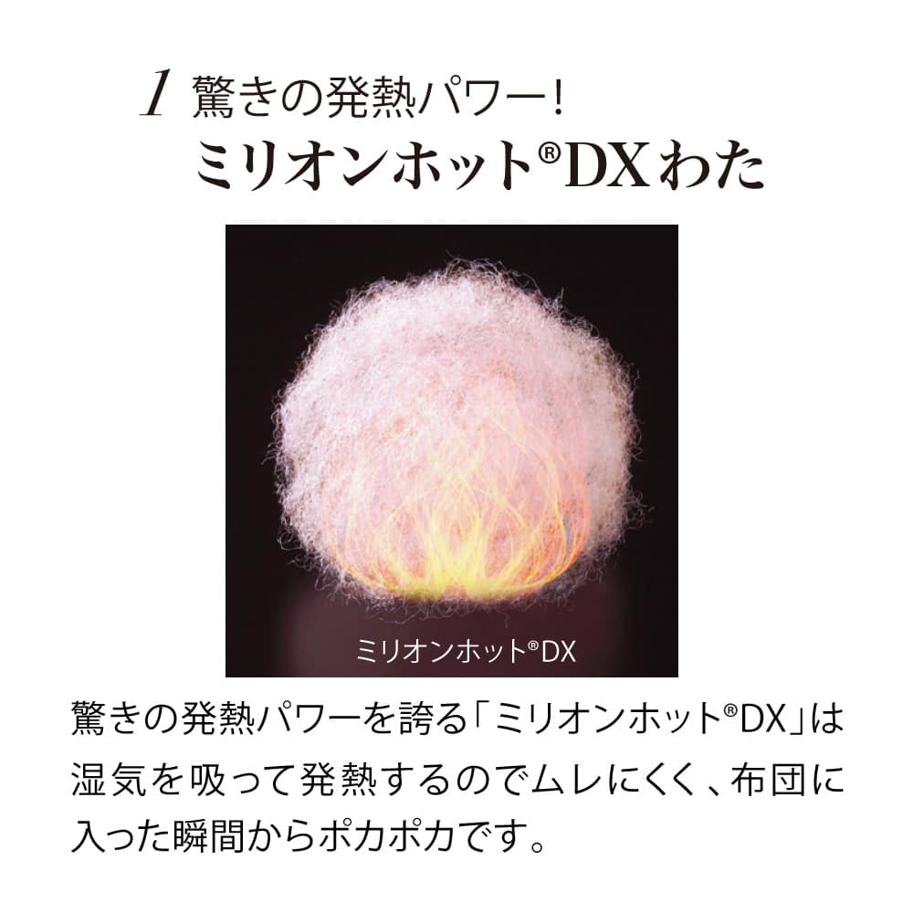 ディノス限定販売】ヒートループ（R）プレミアムプラス 中わた入り発熱