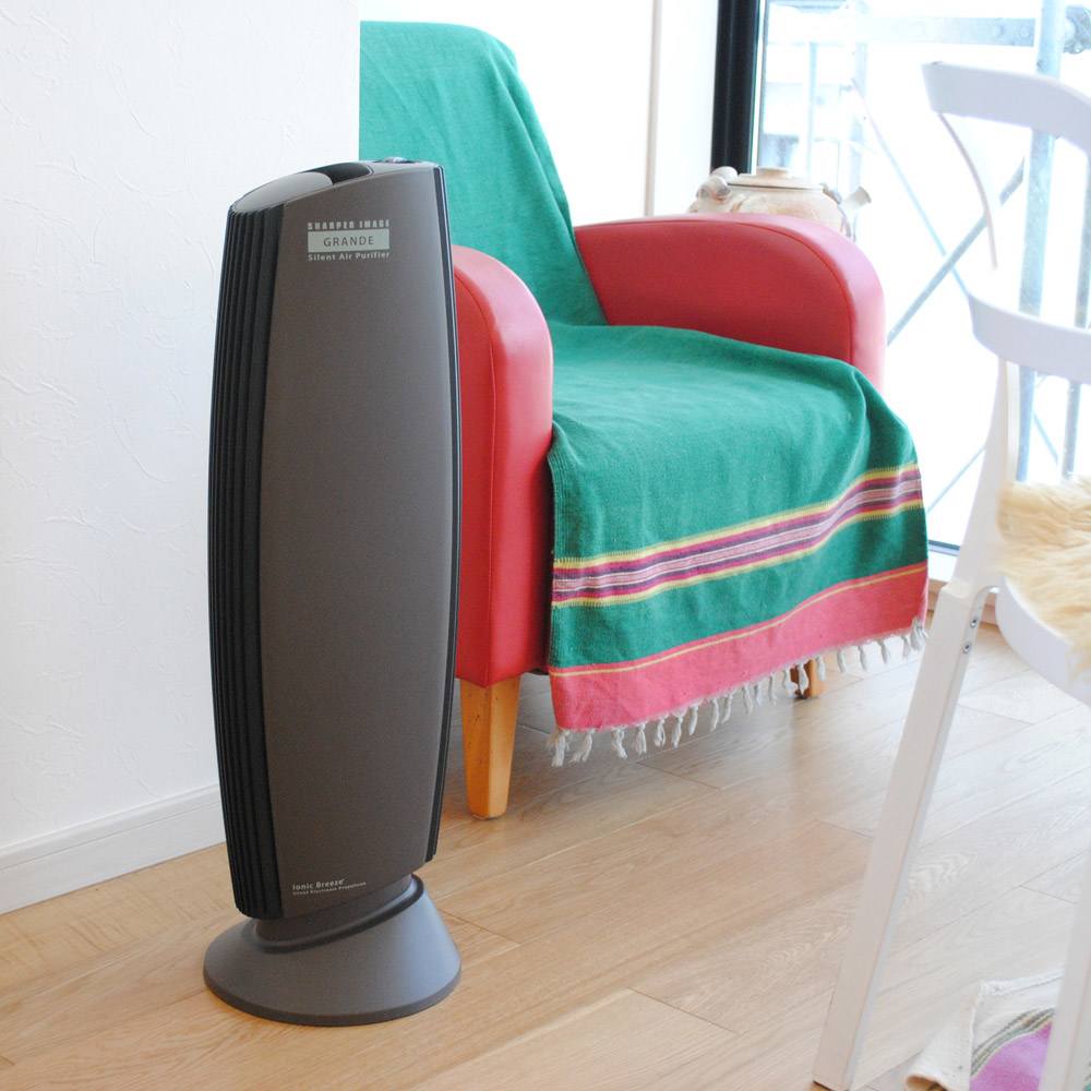 イオニックブリーズ GRANDE 通販 - ディノス