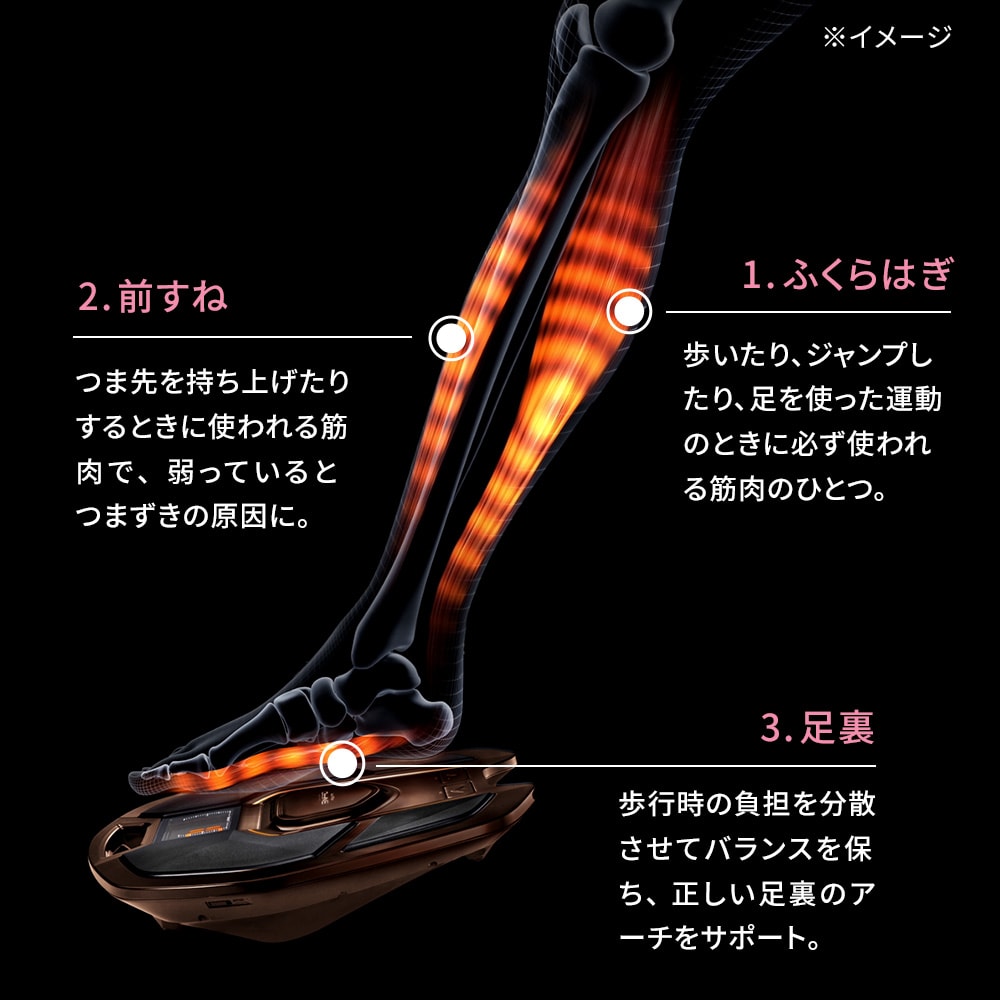 SIXPAD/シックスパッド Foot Fit BROWN（フットフィット ブラウン