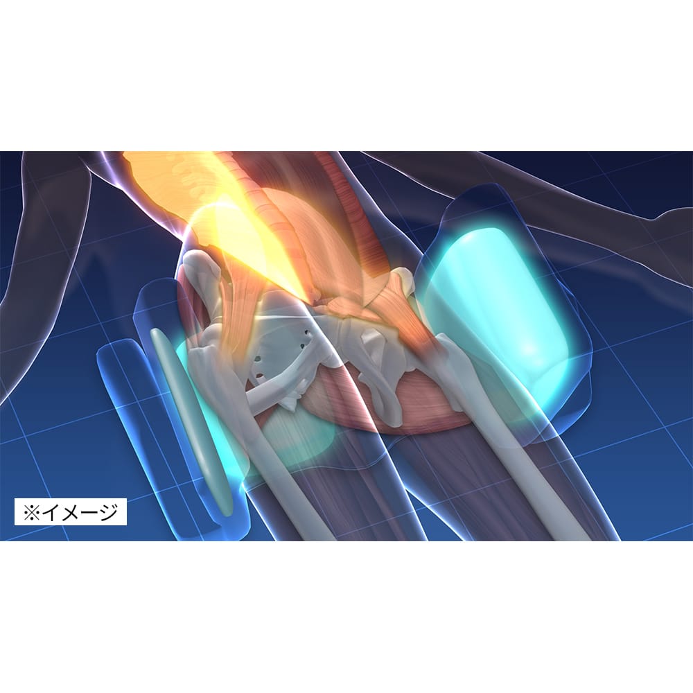 エアプリエ DELUXE（デラックス） 通販 - ディノス