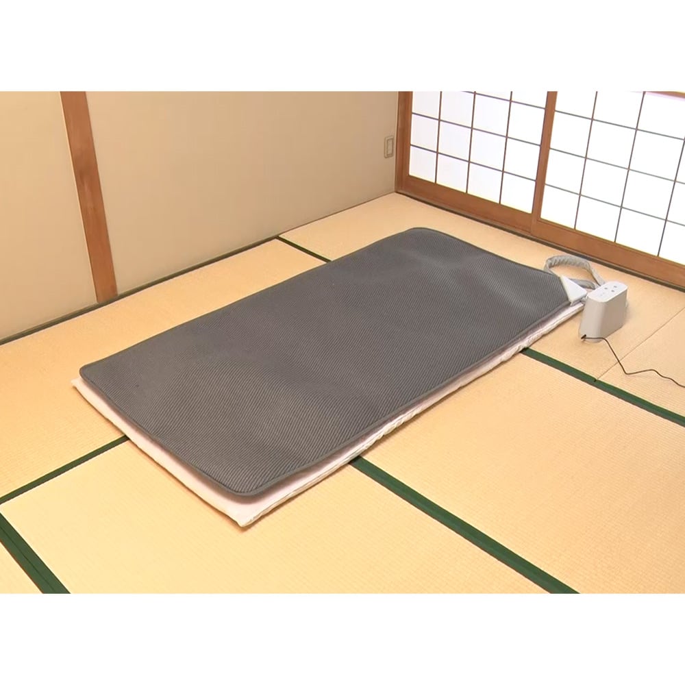 BlueBlood/ブルーブラッド エアテックスリーパー 通販 - ディノス