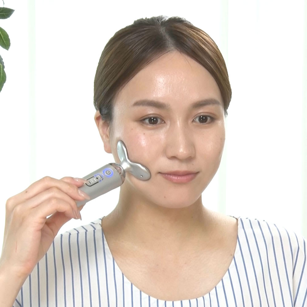 スタイリーフェイス 通販 - ディノス