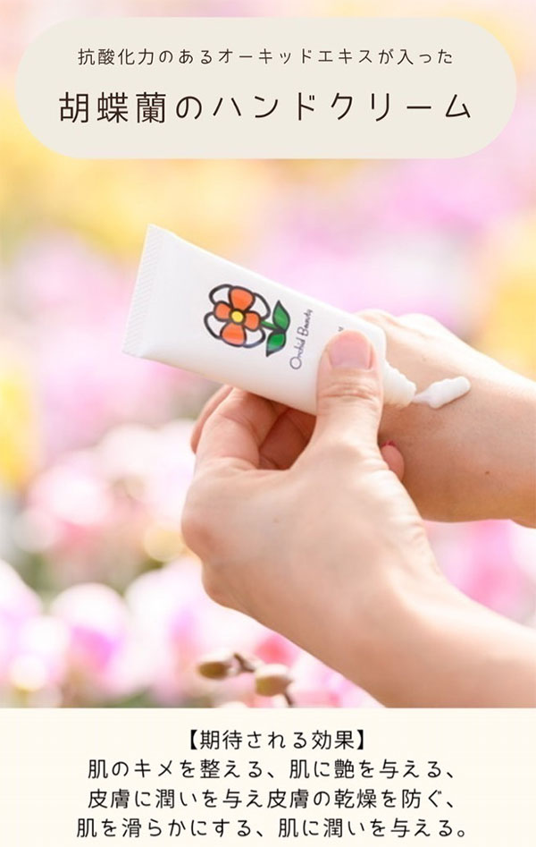 園芸ネット本店｜ミディ胡蝶蘭：2WAYボックス入り 1本立 2.5号 ピンク