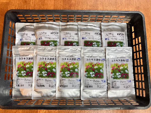園芸ネット本店｜コスモス センセーション（中生）6～7色ミックス種子
