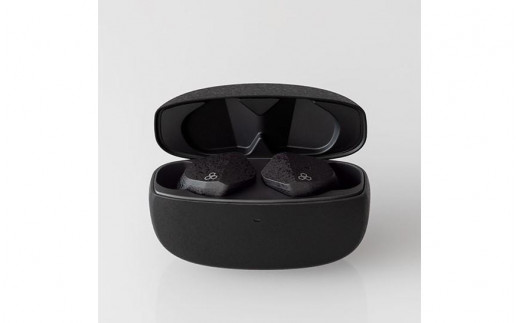 final ZE3000 完全ワイヤレスイヤホン - 神奈川県川崎市｜ふるさと