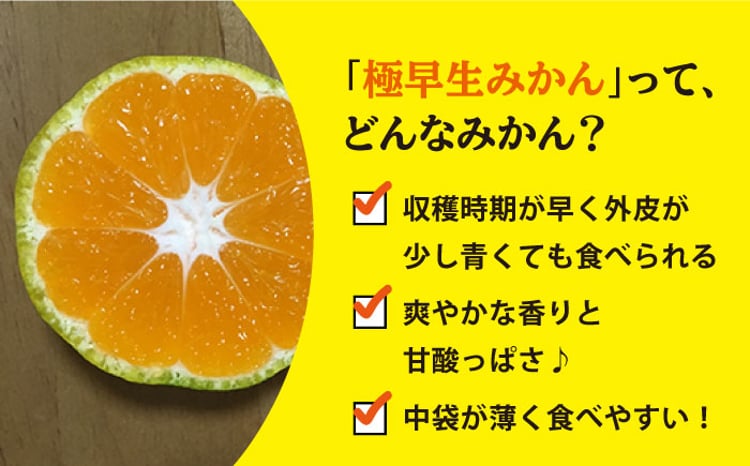 極早生みかん （岩崎・上野）約5kg ＜Da・IWASAKI FARM＞ [CCZ002