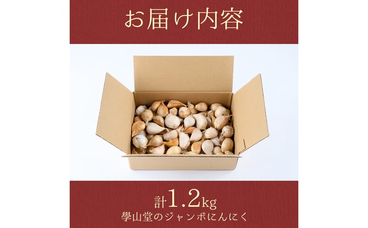 A69003 ＜先行予約受付中！2026年6月中旬以降準備が整い次第順次発送