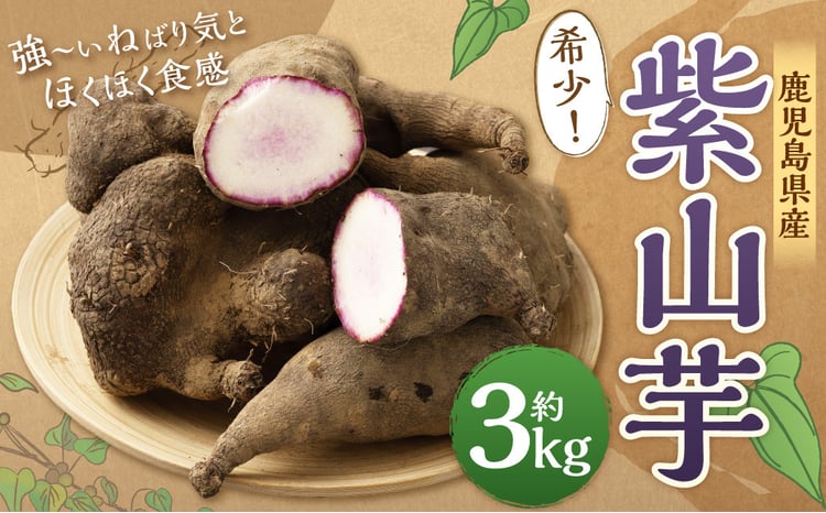 AS-2143 希少！鹿児島県産 紫山芋 約3kg 【2024年11月下旬より順次発送