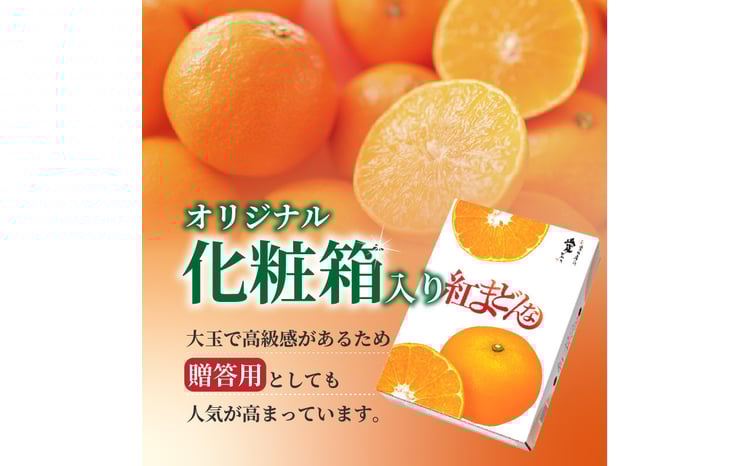 順次発送中】数量限定 紅まどんな 〇等級 化粧箱 L玉～5L玉 | 高級 紅