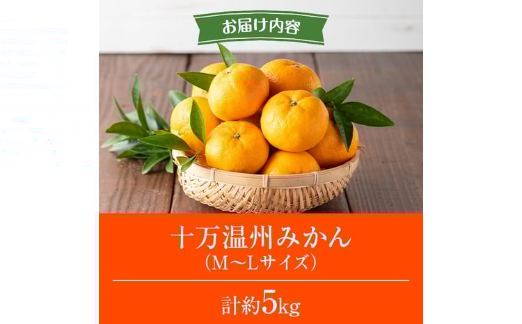 s765 ≪期間限定≫十万温州みかん(計約5kg・M～Lサイズ) 鹿児島 国産