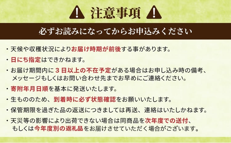 2026年産 信濃くるみ 500g（品種 清香）長野県東御市産 ※2026年11月