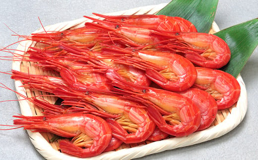 A-06010 【北海道根室産】北海しまえび400g(19～24尾) - 北海道根室市