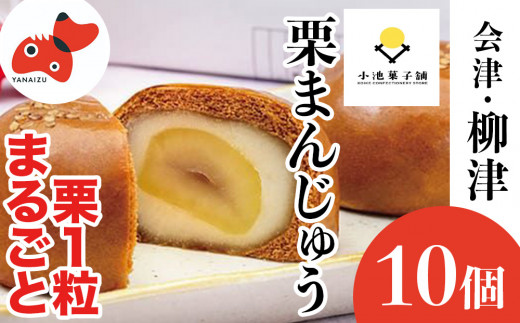 栗が丸々1個入った 食べ応え抜群「くりまんじゅう」10個入り【1446548