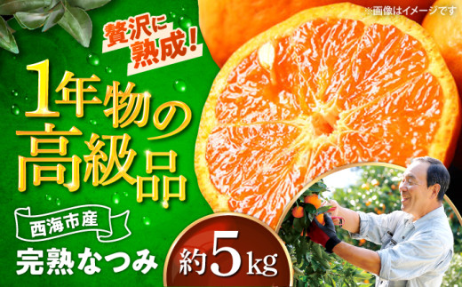 みかん 【4月下旬より発送開始】みかん ハウス木成完熟なつみ 約5kg