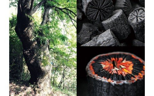 No.049 菊炭（池田炭、一庫炭（ひとくらずみ）） - 兵庫県川西市