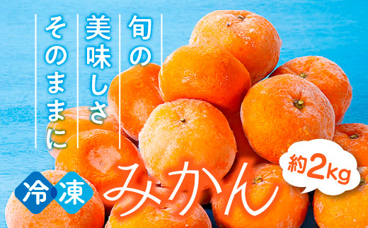 A1560.冷凍みかん約2キロ【限定100セット】 - 福岡県新宮町