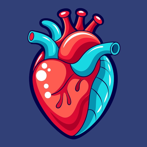 Human heart shape | Premium Vector