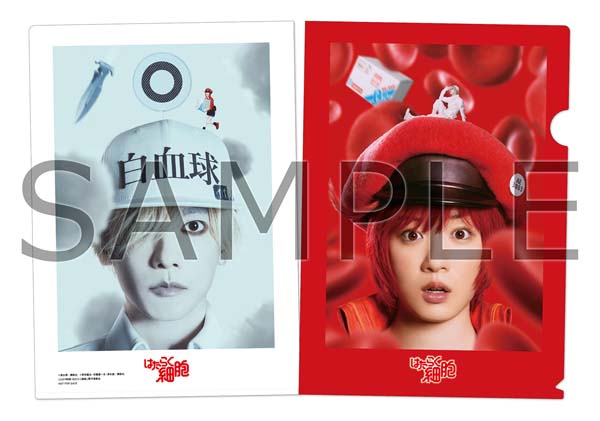 永野芽郁・佐藤健 W主演》映画『はたらく細胞』完全生産限定版・通常版