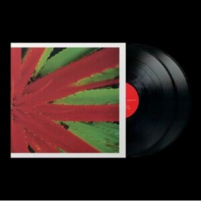 This Afternoons Malady (2枚組アナログレコード) : Jejune