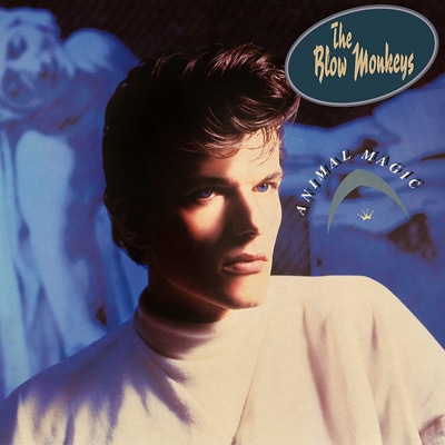 Animal Magic: Deluxe Edition (4CD) : Blow Monkeys | HMV&BOOKS