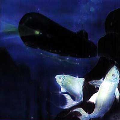 証言 : Lamp Eye | HMV&BOOKS online - PSCR-5547