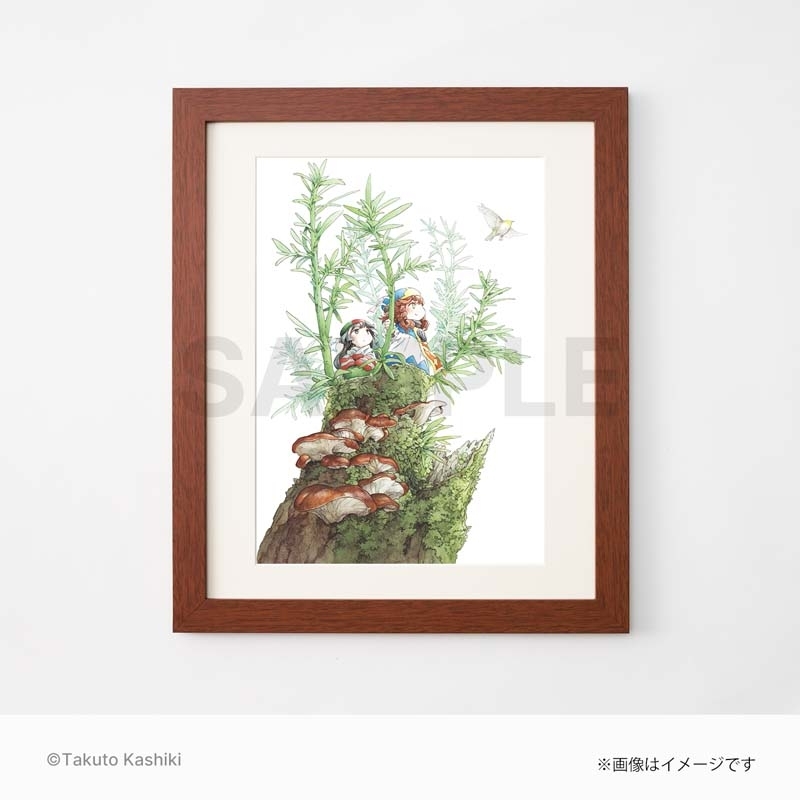 高級複製原画（7巻ウラ） / ハクメイとミコチ : 樫木祐人 | HMV&BOOKS