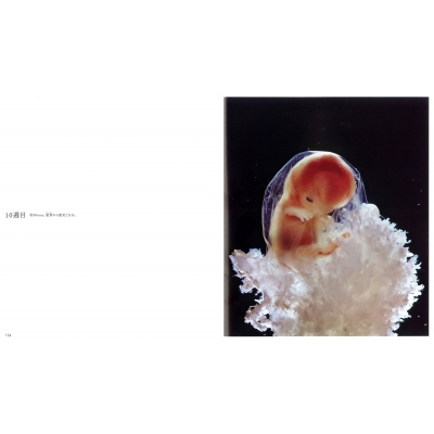 A Child is Born 赤ちゃんの誕生 : レナルト・ニルソン | HMV&BOOKS