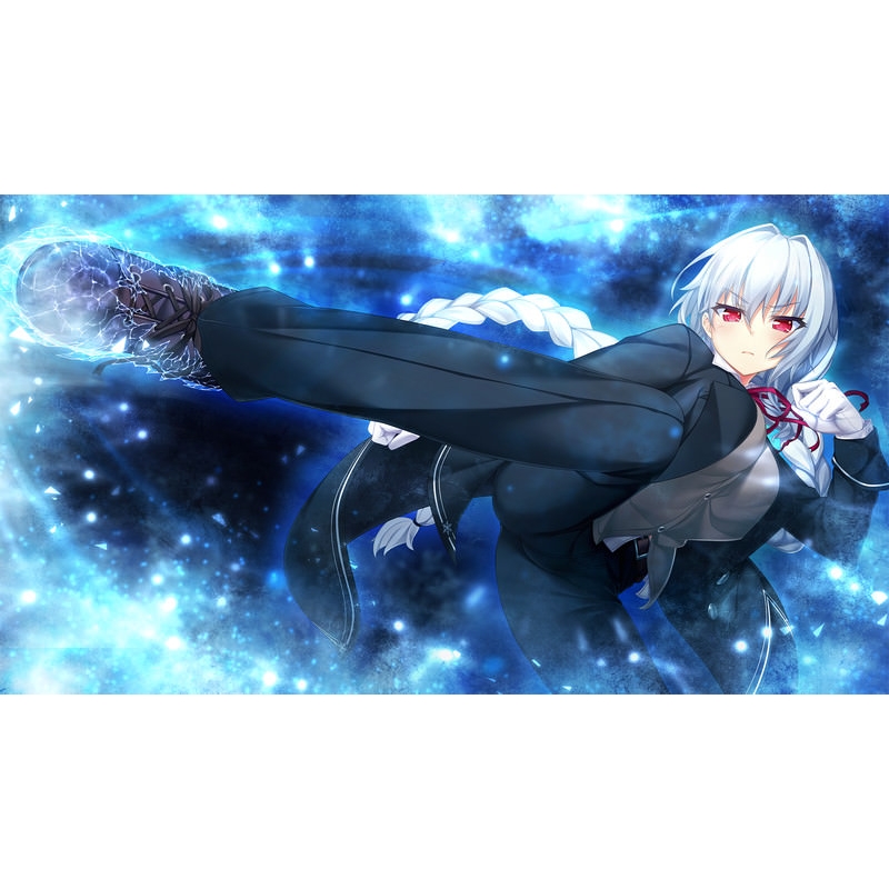 ノラと皇女と野良猫ハート 2 : Game Soft (Nintendo Switch