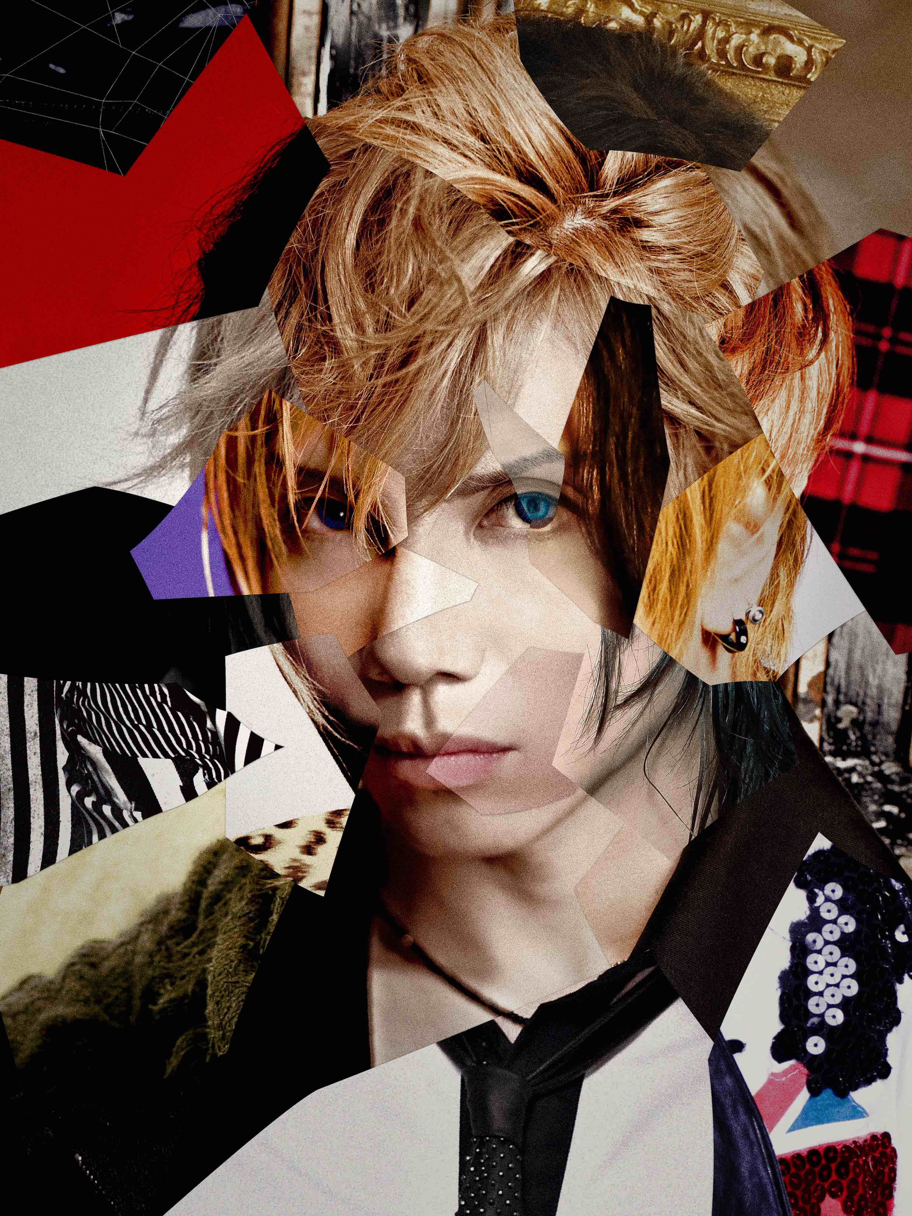 Acid Black Cherry - ARTIST | LtOVES Official Website