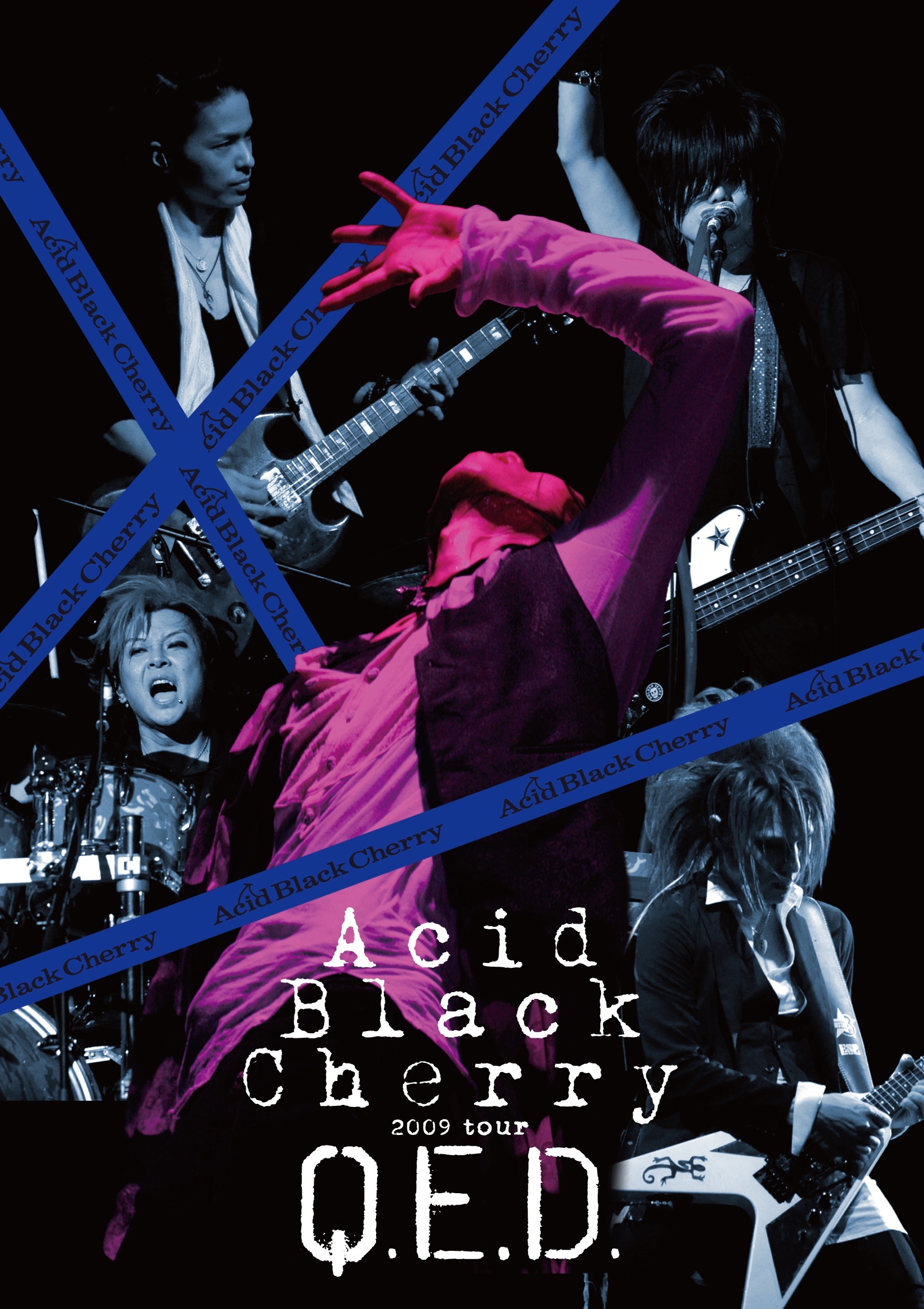 Acid Black Cherry Live Acoustic Album ～君がいるから