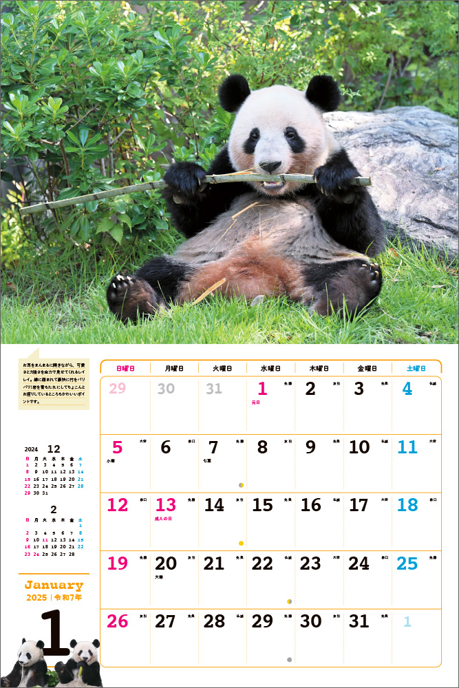 2025 こんにちはシャオシャオ・レイレイカレンダー｜株式会社エムディ