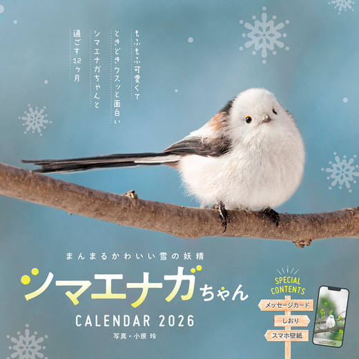 まんまるかわいい雪の妖精 シマエナガちゃん CALENDAR 2026