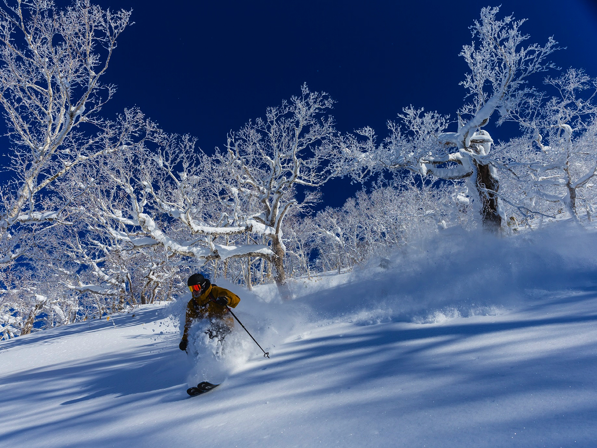 ルスツリゾート アーリーシーズン割 東京発｜JALで行く！北海道スキー