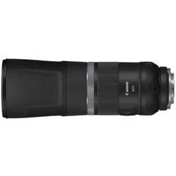 Canon RF800mm F11 IS STMを徹底解説。作例からレビューまで | ONE