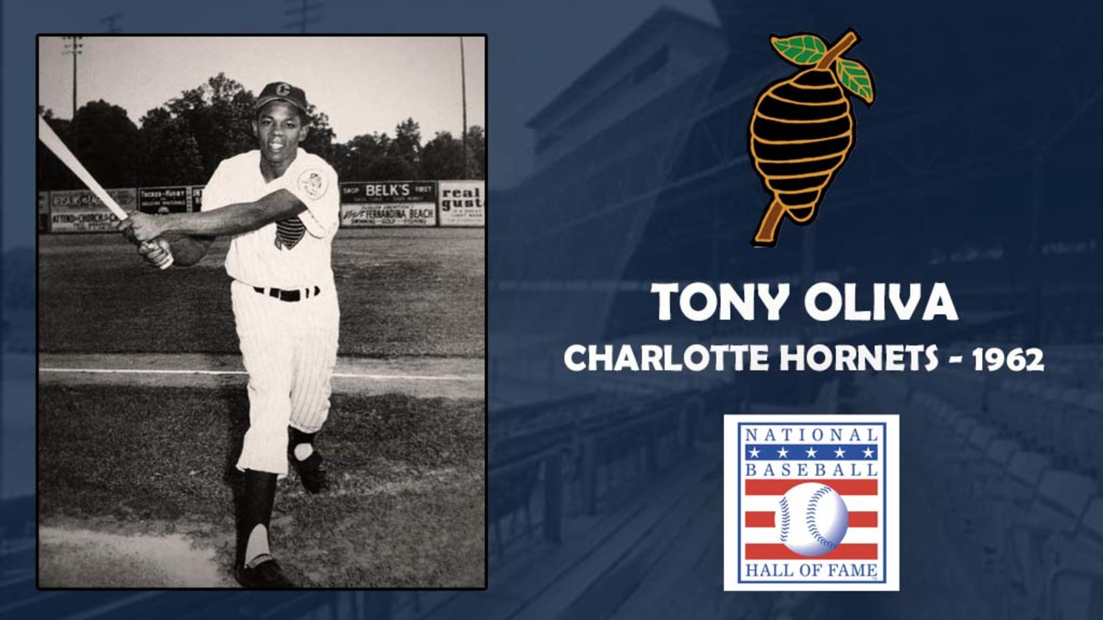 Tony Oliva Elected to Hall of Fame | Blue Wahoos