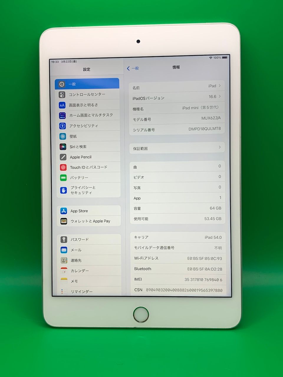 ムスビー｜iPad mini 第5世代 Wi-Fi+Cellular 64GB SIMフリー 最大容量