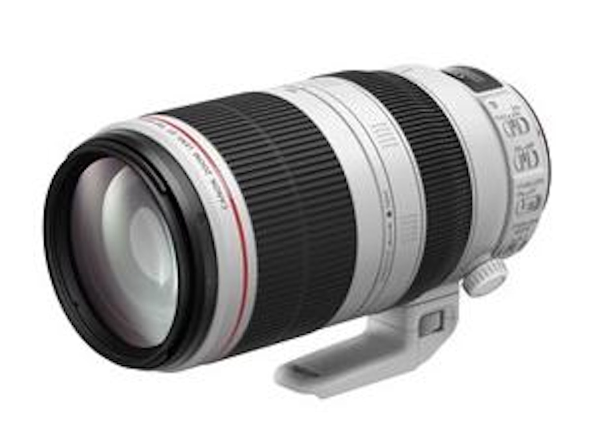 キヤノンのズームレンズのおすすめ人気ランキング【2026年2月】 | マイ