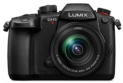 パナソニック LUMIX Gのマイクロフォーサーズ一眼カメラのおすすめ人気