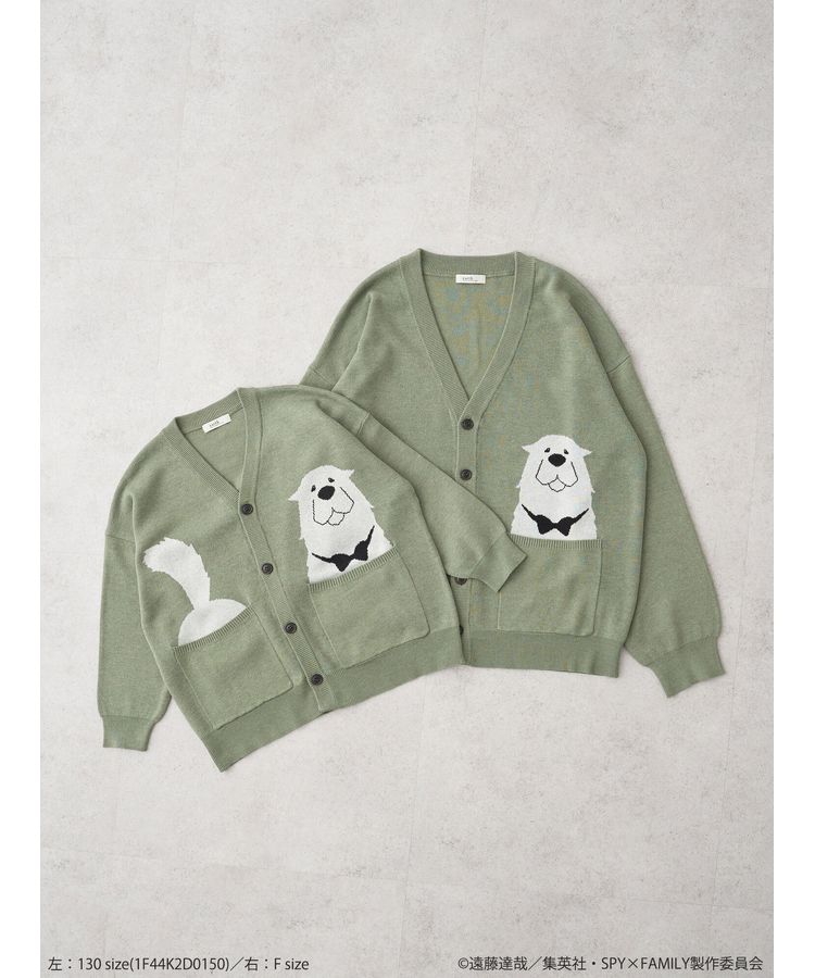 ボンドイメージ ニットカーディガン/earth music&ecology（アース