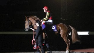 前哨戦を制し凱旋門賞に挑んだ馬たち ゴール寸前での差し返しに涙した