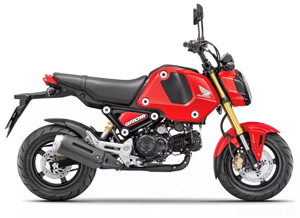 Webike | P&A International P&Aインターナショナル リアエクステンド