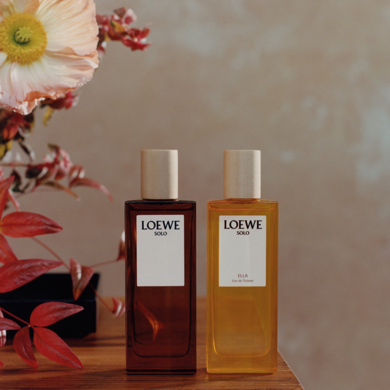 大人の男の好印象フレグランス】ロエベの新作「ボタニカル レインボー