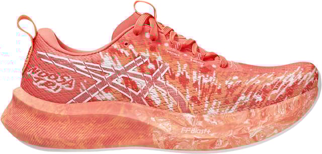 ASICS Noosa Tri 16 Running Shoes - Women's | Altitude Sports